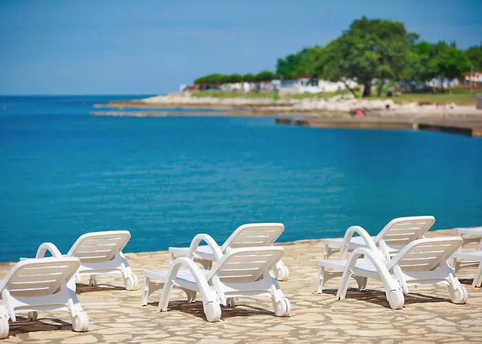 Luksusowy namiot Park Glamping *